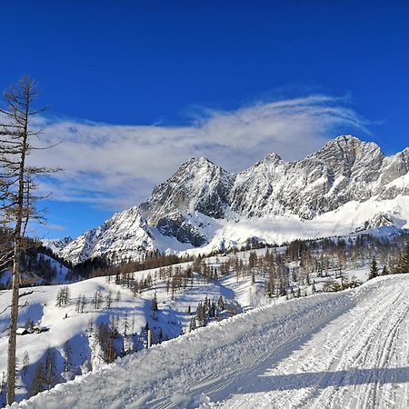 ラムサウ・アム・ダッハシュタイン Brandhof - Chalets Am Bergヴィラ エクステリア 写真