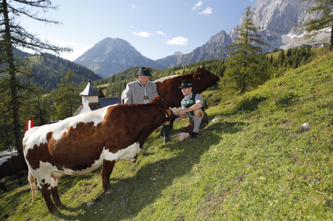 ラムサウ・アム・ダッハシュタイン Brandhof - Chalets Am Bergヴィラ エクステリア 写真