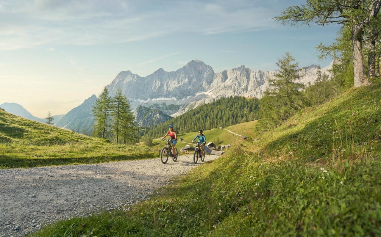 Brandhof - Chalet Am Berg ラムサウ・アム・ダッハシュタイン エクステリア 写真