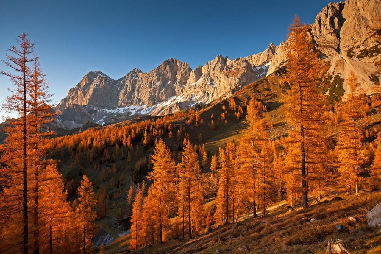 ラムサウ・アム・ダッハシュタイン Brandhof - Chalets Am Bergヴィラ エクステリア 写真