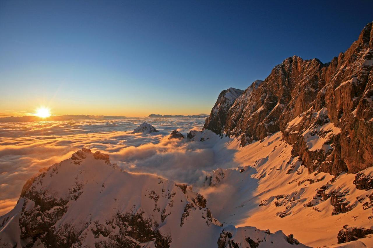 ラムサウ・アム・ダッハシュタイン Brandhof - Chalets Am Bergヴィラ エクステリア 写真