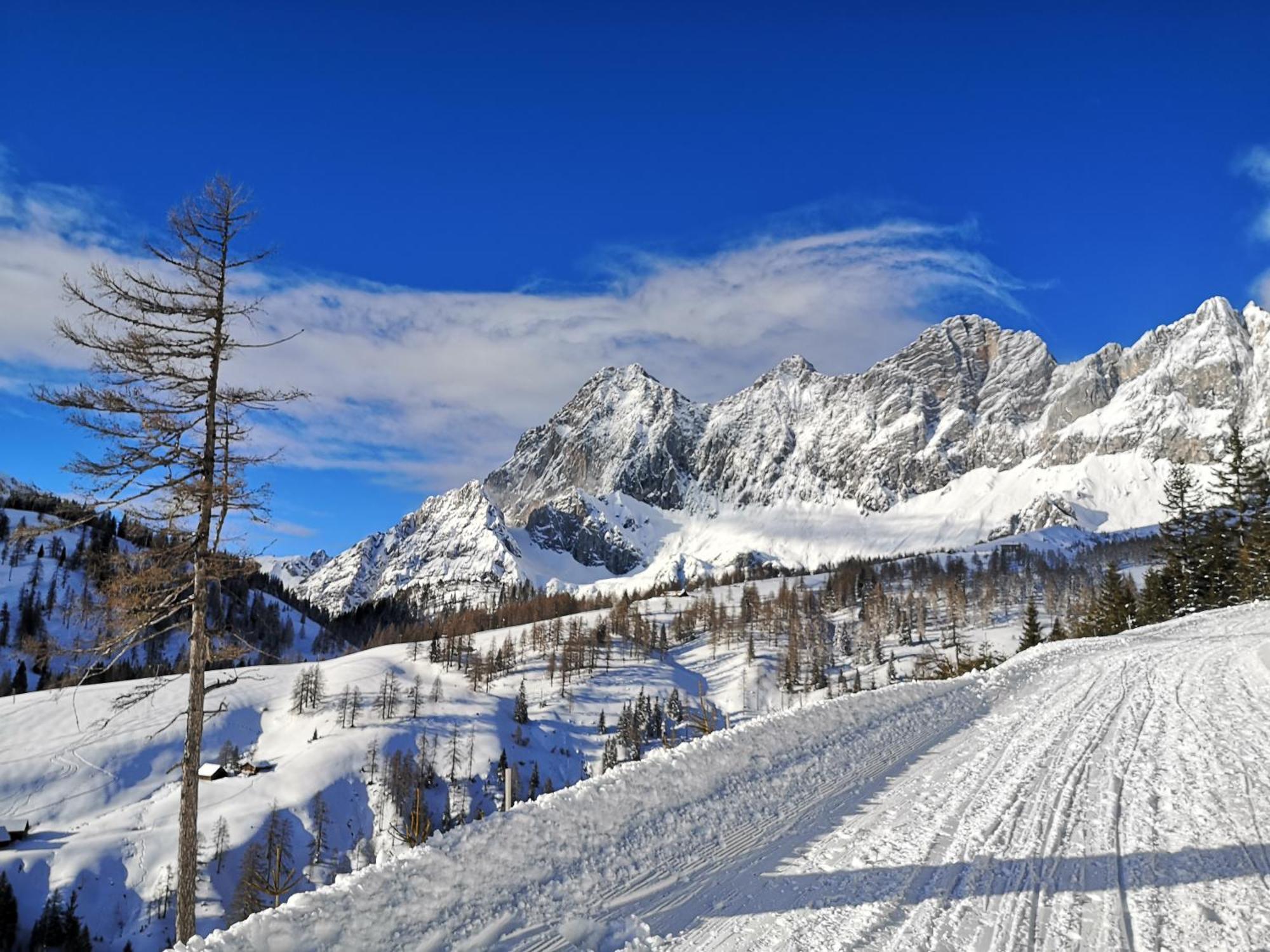 ラムサウ・アム・ダッハシュタイン Brandhof - Chalets Am Bergヴィラ エクステリア 写真