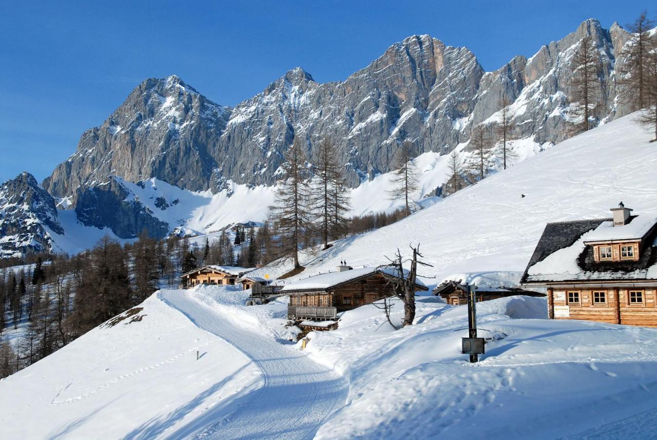 Brandhof - Chalet Am Berg ラムサウ・アム・ダッハシュタイン エクステリア 写真