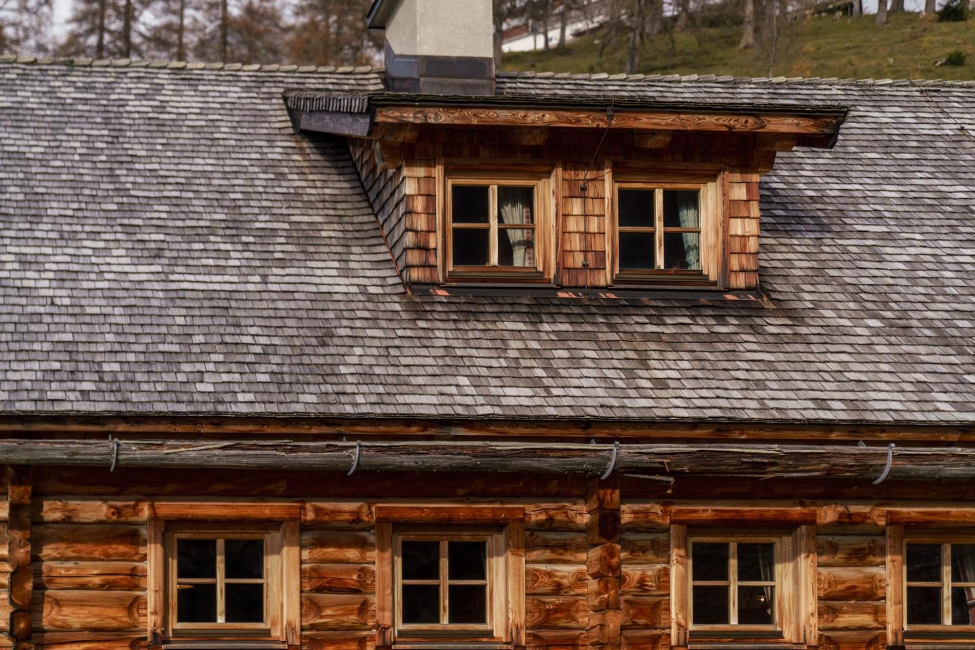 ラムサウ・アム・ダッハシュタイン Brandhof - Chalets Am Bergヴィラ エクステリア 写真