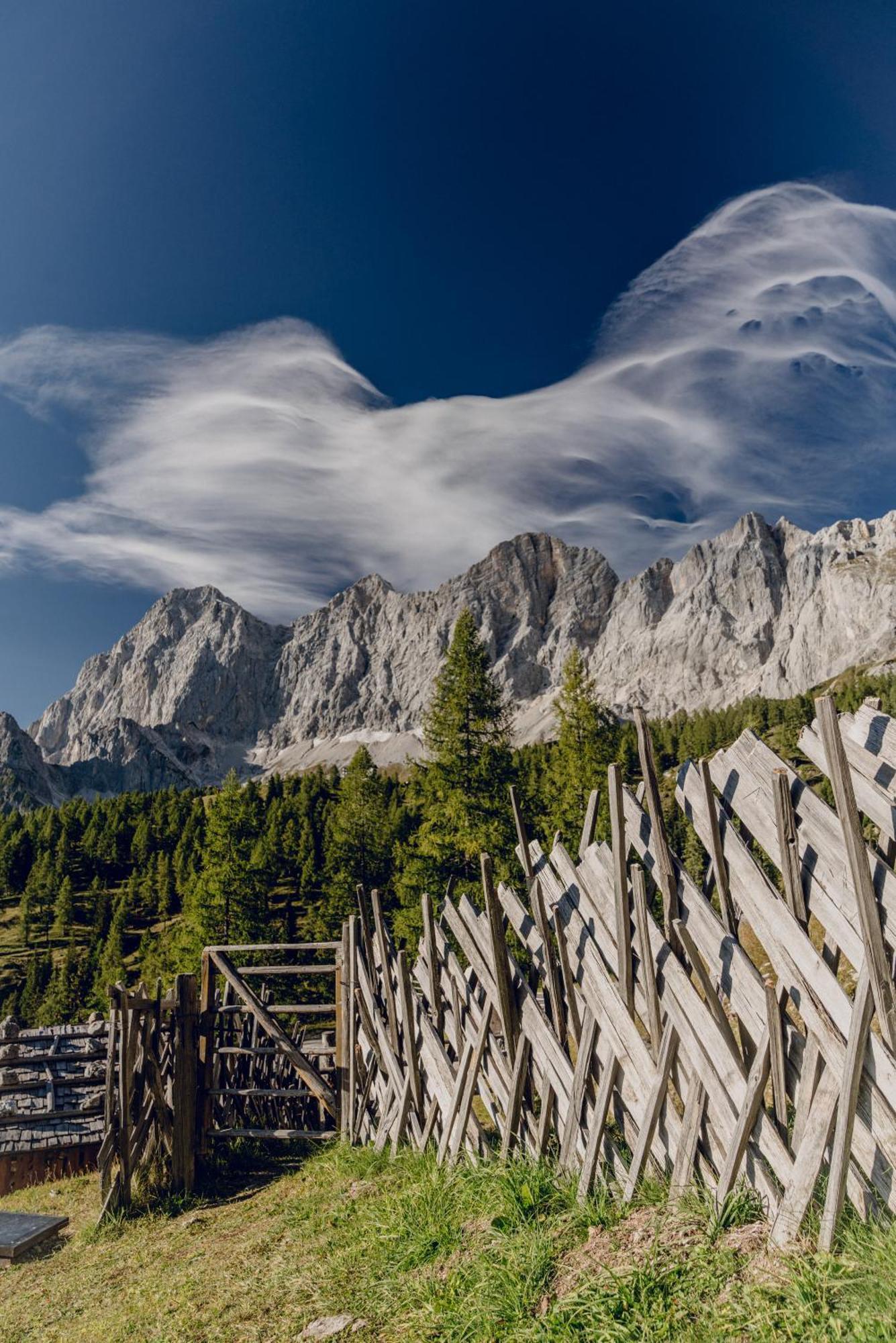 Brandhof - Chalet Am Berg ラムサウ・アム・ダッハシュタイン エクステリア 写真