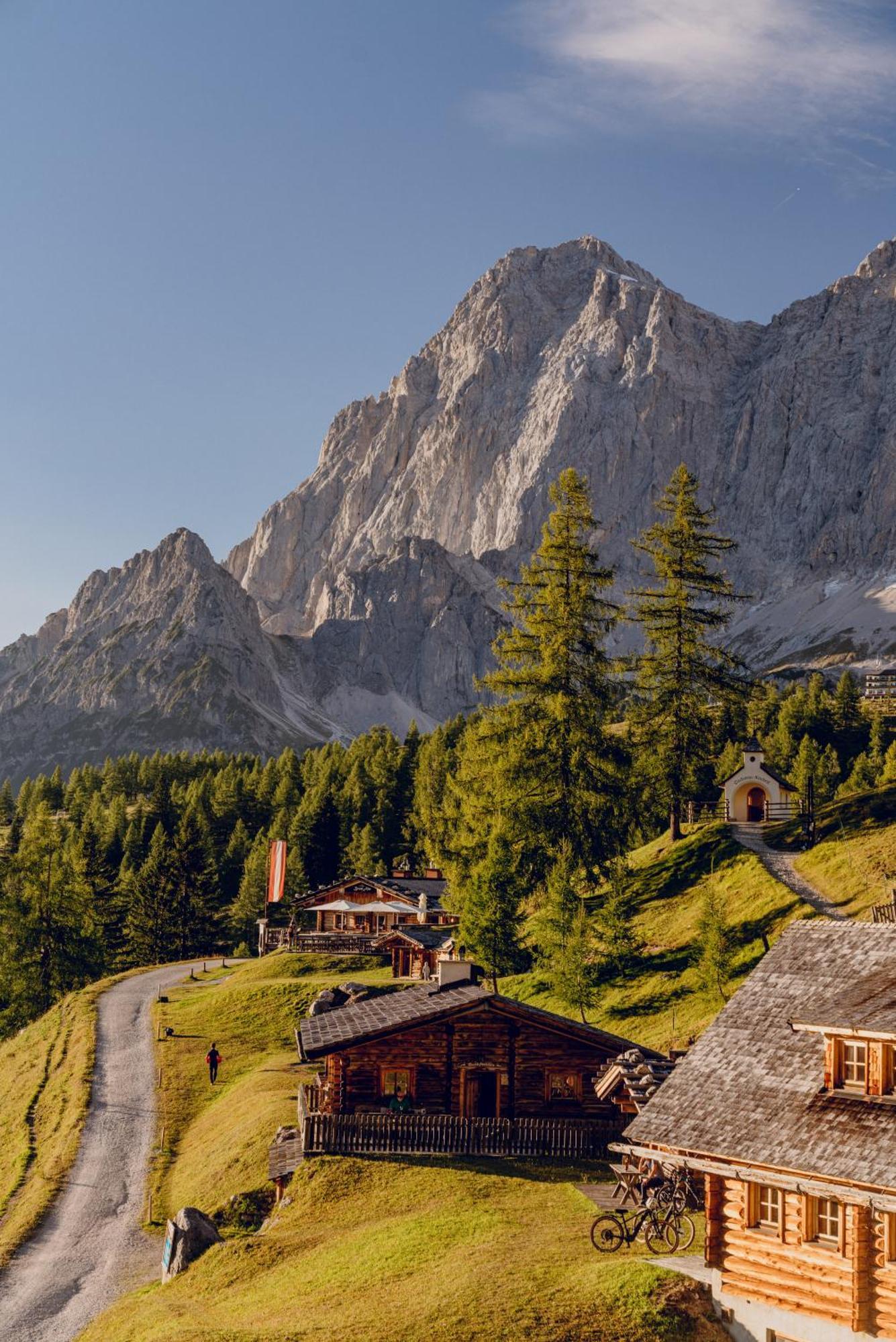 ラムサウ・アム・ダッハシュタイン Brandhof - Chalets Am Bergヴィラ エクステリア 写真