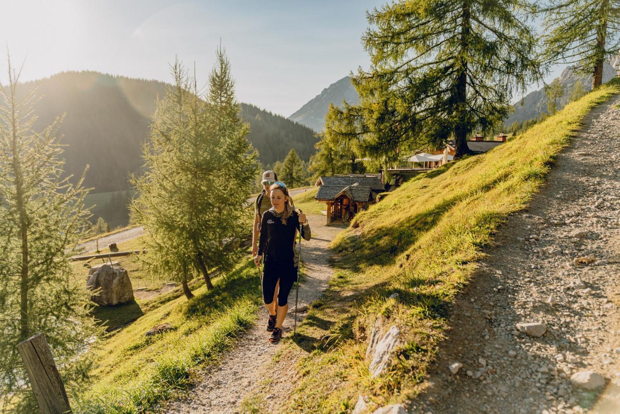 ラムサウ・アム・ダッハシュタイン Brandhof - Chalets Am Bergヴィラ エクステリア 写真