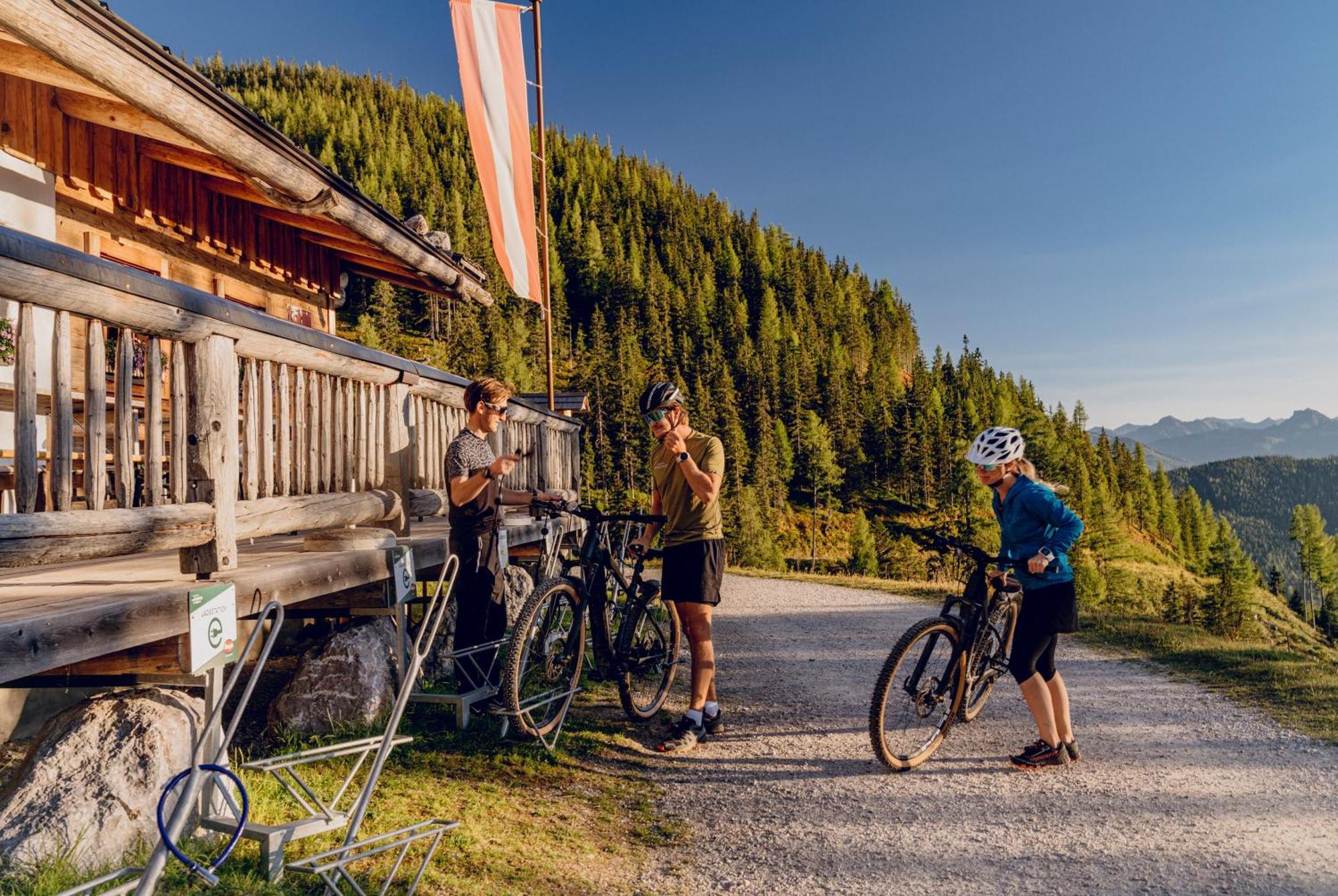 ラムサウ・アム・ダッハシュタイン Brandhof - Chalets Am Bergヴィラ エクステリア 写真