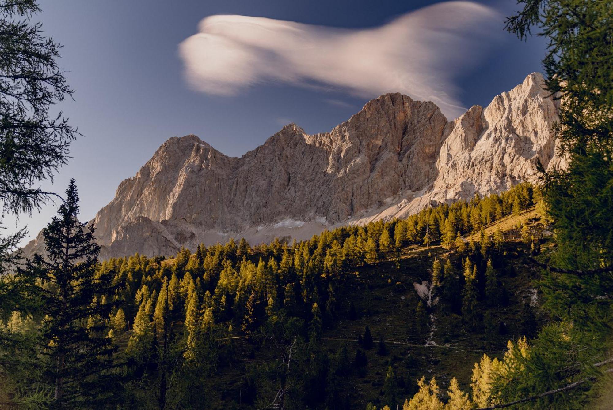 Brandhof - Chalet Am Berg ラムサウ・アム・ダッハシュタイン エクステリア 写真