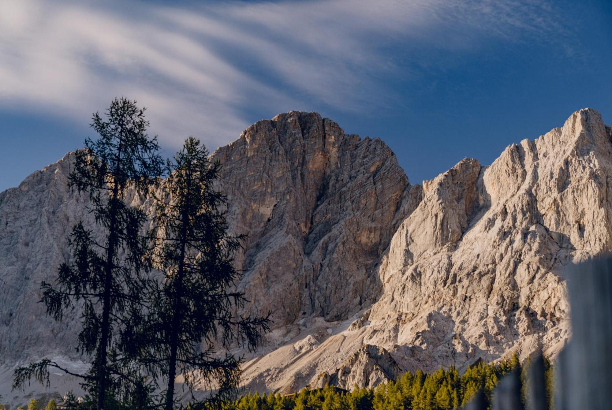 Brandhof - Chalet Am Berg ラムサウ・アム・ダッハシュタイン エクステリア 写真